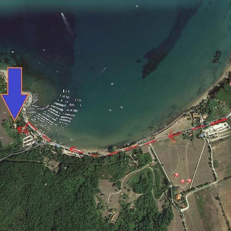 I Fiori Nel Golfo Di Baratti Apartment Bagian luar foto