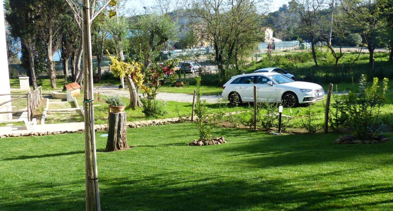 I Fiori Nel Golfo Di Baratti Apartment Bagian luar foto
